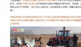 近期热瓜爆料新闻报道视频,新闻报道背后的真相与内幕