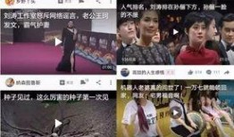 近期热瓜爆料新闻报道视频,新闻报道背后的真相与内幕