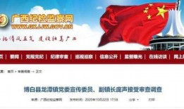 南宁新闻最新爆料电话,揭秘电话背后的惊人真相