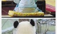 娱乐吃瓜群众2,揭秘娱乐圈背后的秘密与八卦