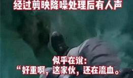 贵州百灵爆料事件视频曝光,揭秘背后真相