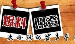 重庆新闻官方爆料,揭秘重大事件背后真相